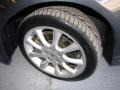 Carbon Gray Pearl - TSX Sedan Photo No. 20