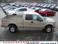 2010 Pueblo Gold Metallic Ford F150 XLT SuperCab 4x4  photo #5