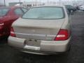 Sandrift Beige Metallic - Altima GXE Photo No. 2