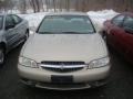 Sandrift Beige Metallic - Altima GXE Photo No. 6