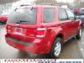 2009 Sangria Red Metallic Ford Escape XLT V6 4WD  photo #6