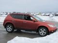 Sunlit Copper Metallic - Murano SL AWD Photo No. 5