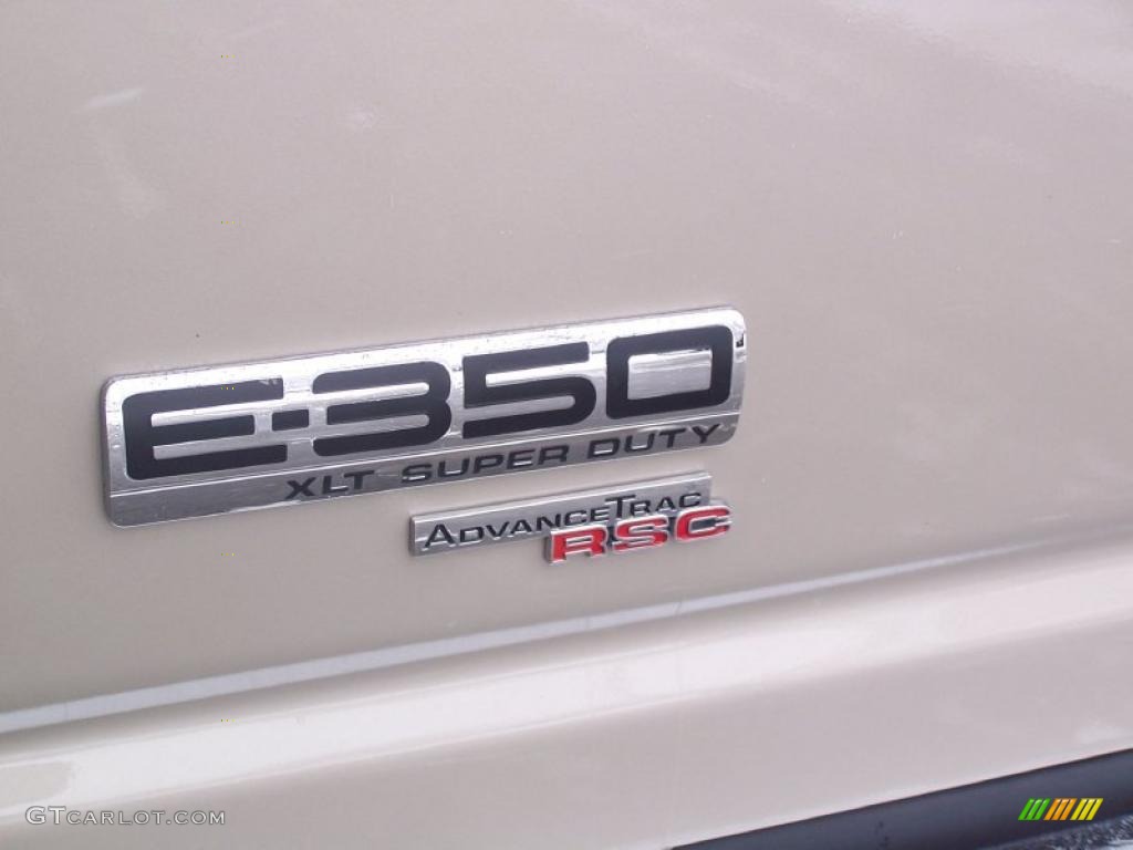 2009 E Series Van E350 Super Duty XLT Passenger - Pueblo Gold Metallic / Medium Pebble photo #9