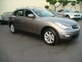 2009 Platinum Graphite Infiniti EX 35 Journey AWD  photo #8