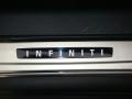 2009 Platinum Graphite Infiniti EX 35 Journey AWD  photo #22