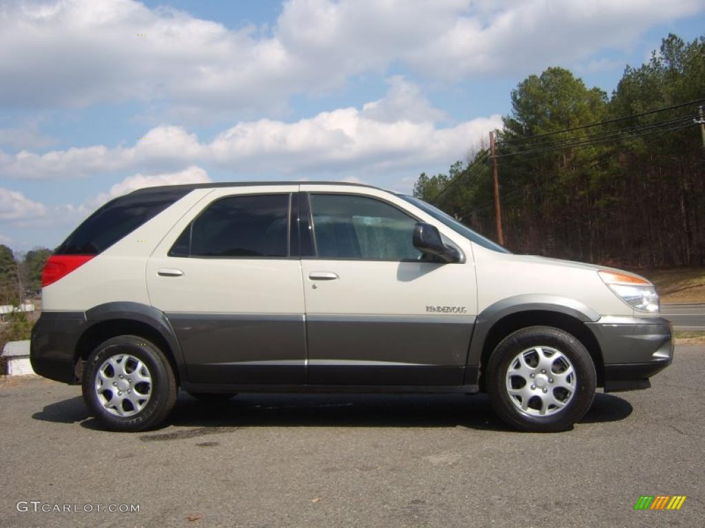 Cappuccino Frost Metallic Buick Rendezvous