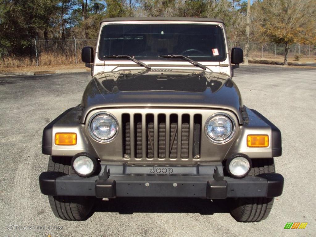 2004 Wrangler Sport 4x4 - Light Khaki Metallic / Khaki photo #12