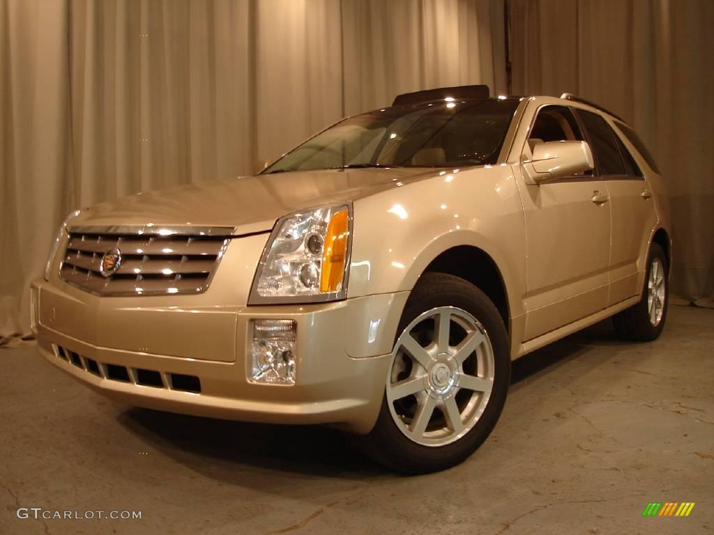 Sand Storm Cadillac SRX