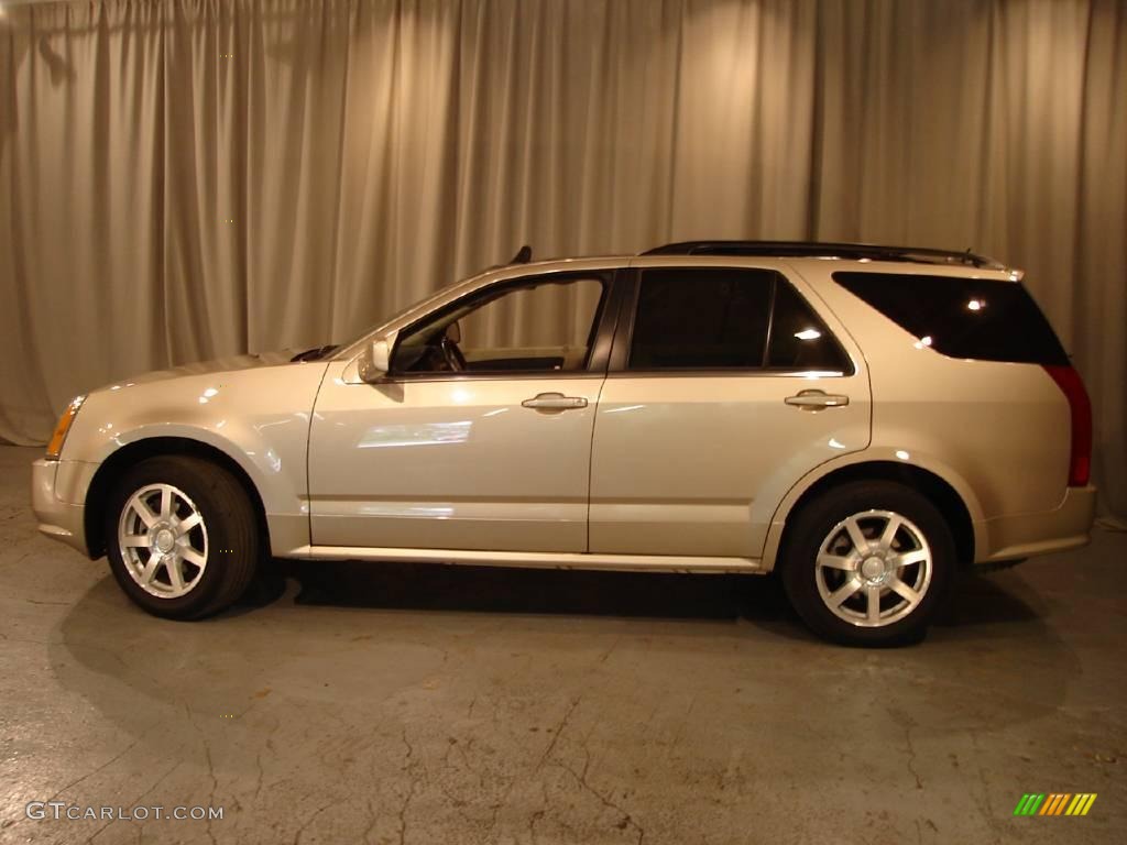2005 SRX V6 AWD - Sand Storm / Light Neutral photo #2