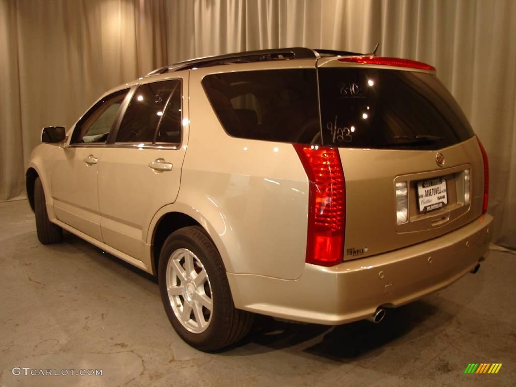 2005 SRX V6 AWD - Sand Storm / Light Neutral photo #3