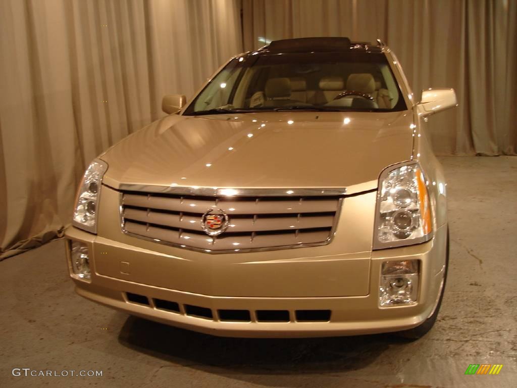 2005 SRX V6 AWD - Sand Storm / Light Neutral photo #5
