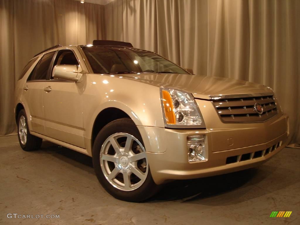 2005 SRX V6 AWD - Sand Storm / Light Neutral photo #6