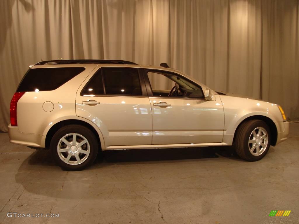 2005 SRX V6 AWD - Sand Storm / Light Neutral photo #7