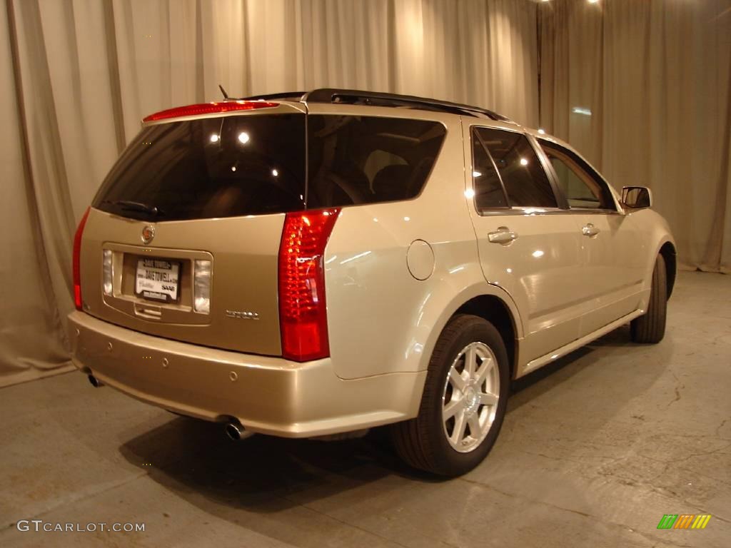 2005 SRX V6 AWD - Sand Storm / Light Neutral photo #8