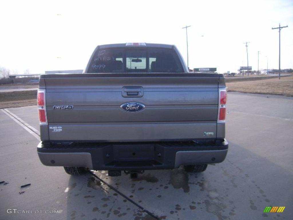2010 F150 FX4 SuperCrew 4x4 - Sterling Grey Metallic / Black photo #4