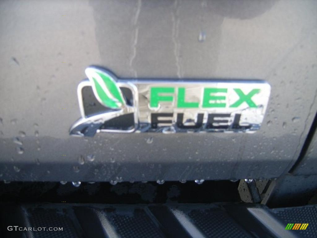 2010 F150 FX4 SuperCrew 4x4 - Sterling Grey Metallic / Black photo #12
