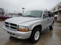 2003 Bright Silver Metallic Dodge Durango SLT  photo #7