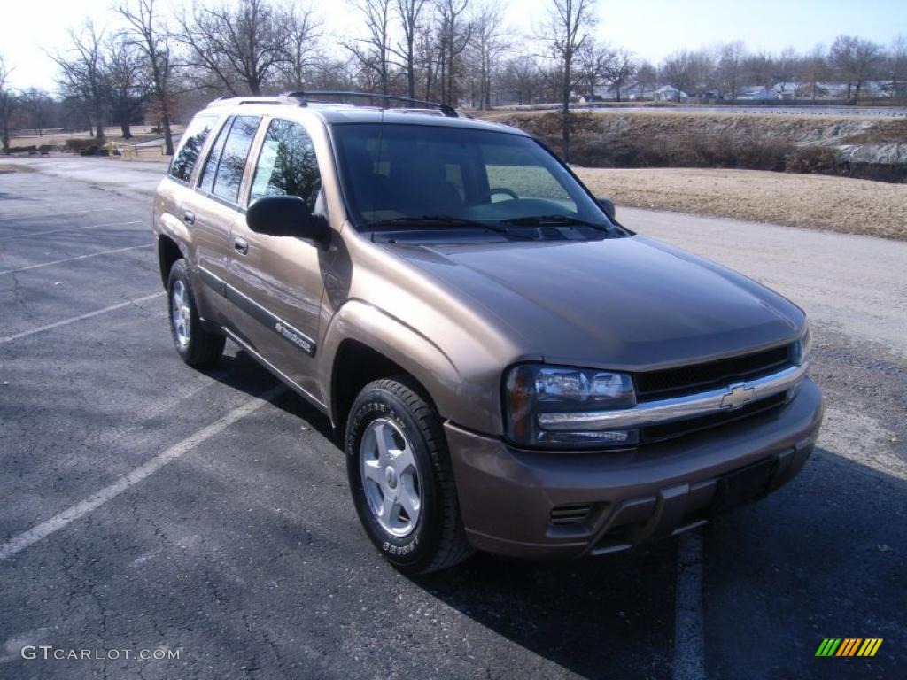 2003 TrailBlazer LS 4x4 - Sandalwood Metallic / Medium Oak photo #1