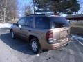 2003 Sandalwood Metallic Chevrolet TrailBlazer LS 4x4  photo #5