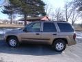 Sandalwood Metallic - TrailBlazer LS 4x4 Photo No. 6
