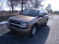 2003 Sandalwood Metallic Chevrolet TrailBlazer LS 4x4  photo #7