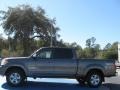 2006 Phantom Gray Pearl Toyota Tundra SR5 Double Cab 4x4  photo #2