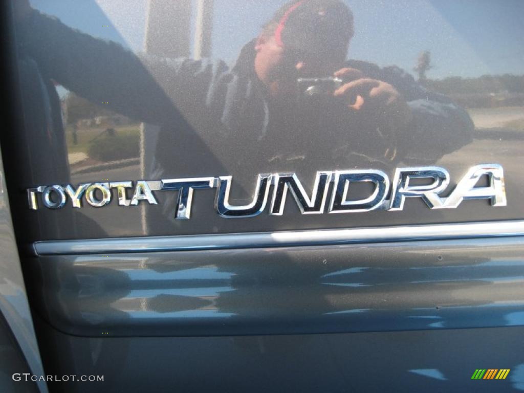 2006 Tundra SR5 Double Cab 4x4 - Phantom Gray Pearl / Light Charcoal photo #28