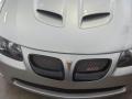 Quicksilver Metallic - GTO Coupe Photo No. 2