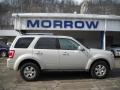 2009 Light Sage Metallic Ford Escape Limited V6 4WD  photo #1