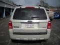 2009 Light Sage Metallic Ford Escape Limited V6 4WD  photo #3