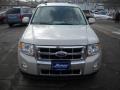 2009 Light Sage Metallic Ford Escape Limited V6 4WD  photo #19