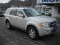 2009 Light Sage Metallic Ford Escape Limited V6 4WD  photo #20