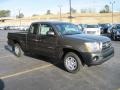 Pyrite Mica - Tacoma Access Cab Photo No. 2