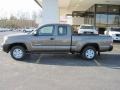 Pyrite Mica - Tacoma Access Cab Photo No. 6