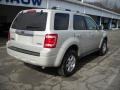 2009 Light Sage Metallic Ford Escape Limited V6 4WD  photo #2