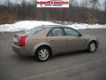 Gold Mist - CTS Sedan Photo No. 2