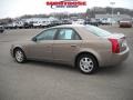 Gold Mist - CTS Sedan Photo No. 6