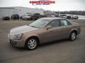 Gold Mist - CTS Sedan Photo No. 18