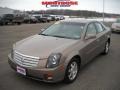 Gold Mist - CTS Sedan Photo No. 19