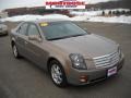Gold Mist - CTS Sedan Photo No. 21