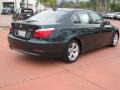 2008 Deep Green Metallic BMW 5 Series 528i Sedan  photo #4