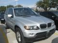 Titanium Silver Metallic - X5 3.0i Photo No. 6