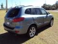 Silver Blue - Santa Fe SE Photo No. 9