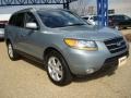 2008 Platinum Sage Hyundai Santa Fe Limited  photo #8