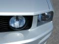2006 Satin Silver Metallic Ford Mustang GT Premium Coupe  photo #9