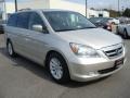Silver Pearl Metallic - Odyssey Touring Photo No. 8