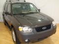 2007 Dark Stone Metallic Ford Escape XLT  photo #2