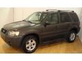 2007 Dark Stone Metallic Ford Escape XLT  photo #7