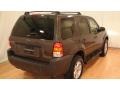 2007 Dark Stone Metallic Ford Escape XLT  photo #11