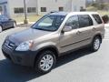 Sahara Sand Metallic - CR-V EX 4WD Photo No. 1